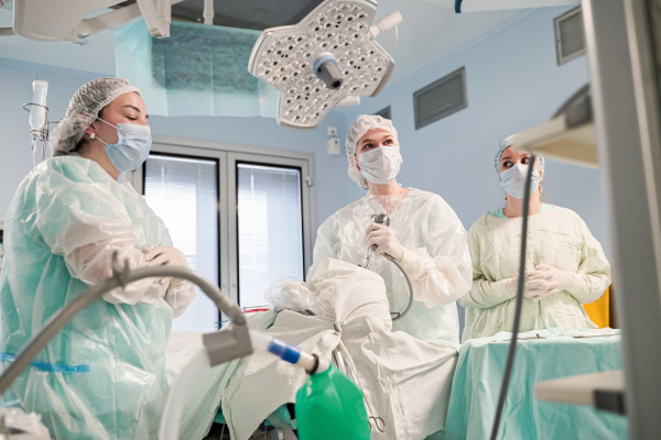 В режиме одного дня